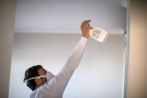 Best Mold Testing and Inspection Services in Burlington, IA